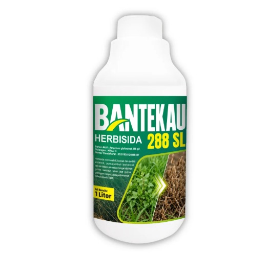 BANTEKAU 94%