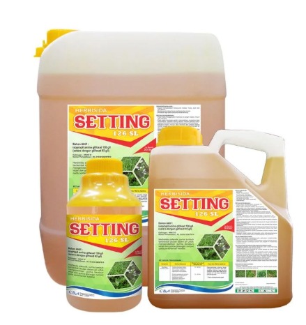 SETTING