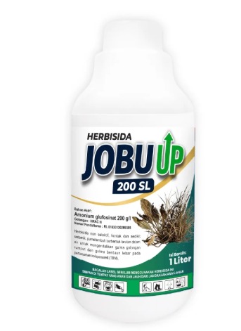 JOBU UP