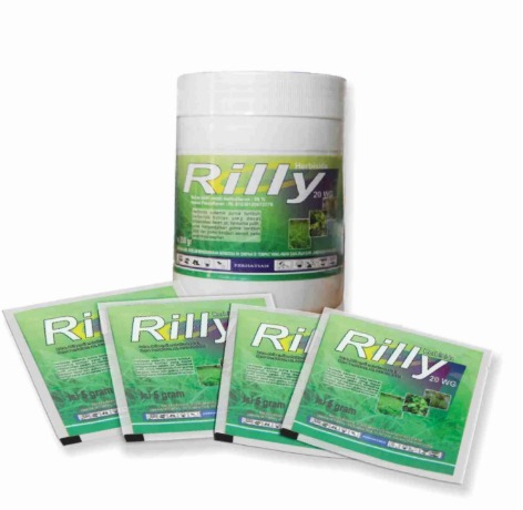 RILLY 20 WG