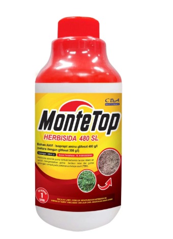 MONTETOP